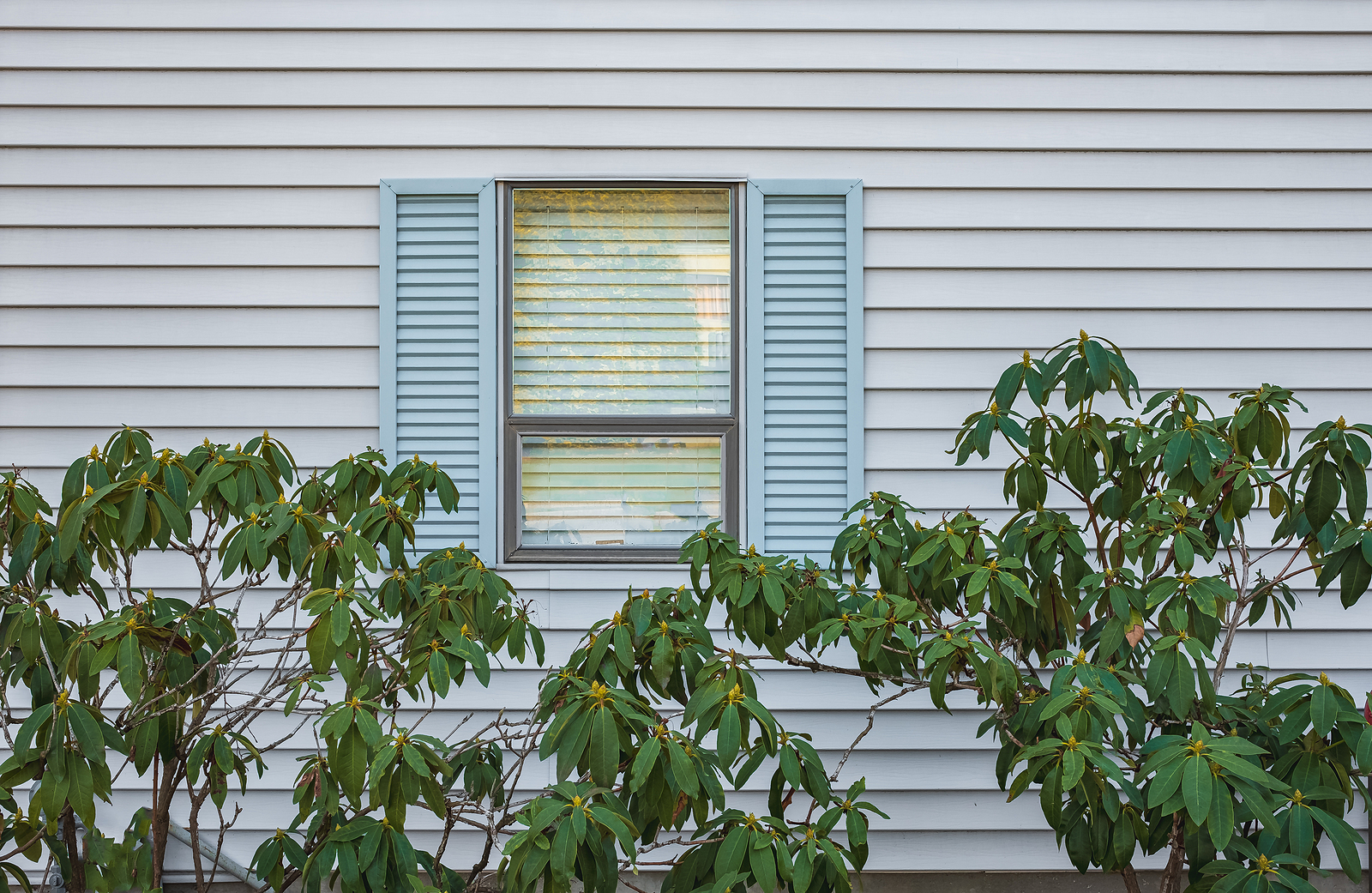 Modern Residential Window With Shutters And Trees In A Garden. G